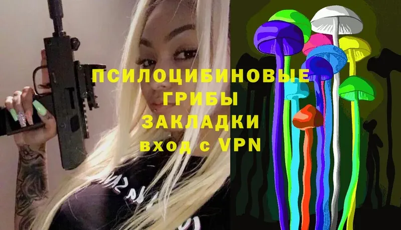 Псилоцибиновые грибы Psilocybe  Апрелевка 